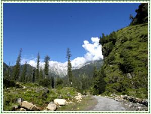 Himachal Tours