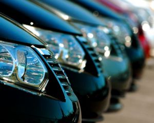 Car/Bus/MiniBus on Rent